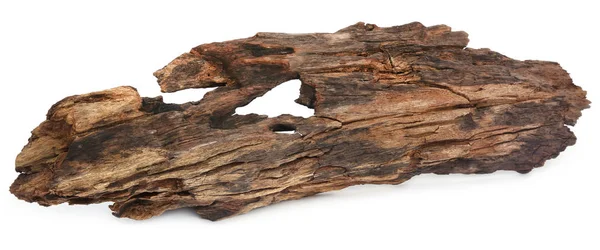 Bogwood yakın çekim — Stok fotoğraf