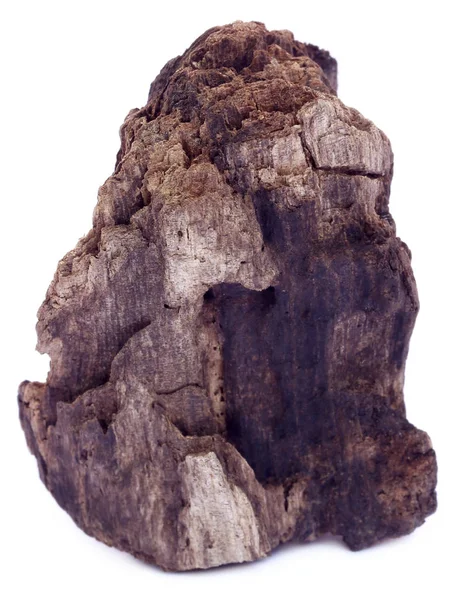 Fechar de Bogwood — Fotografia de Stock