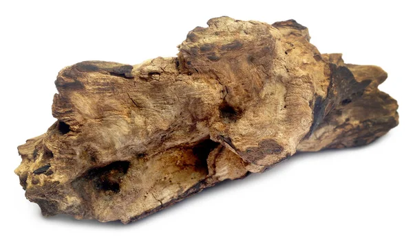 Zbliżenie z Bogwood — Zdjęcie stockowe