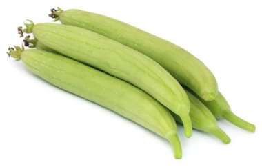 Taze ridge kabak lif kabağı aegyptiaca