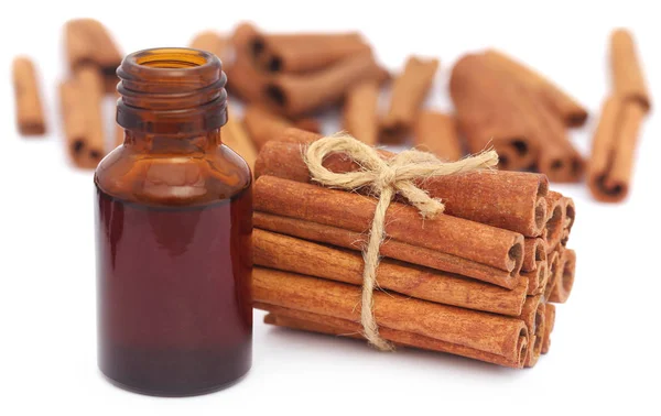 Bunch of some fresh aromatic cinnamon with essential oil — Stock Photo, Image