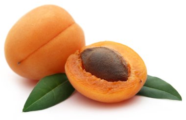 Taze kayısı closeup