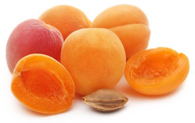 Taze kayısı closeup