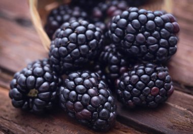 Taze böğürtlen grubu