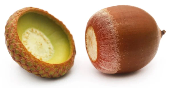 Closeup of acorn — Stock Photo, Image