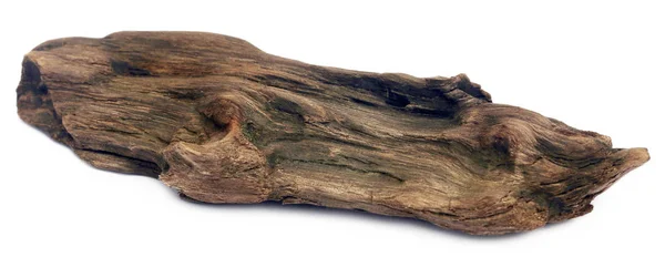 흰색 배경 위에 bogwood — 스톡 사진