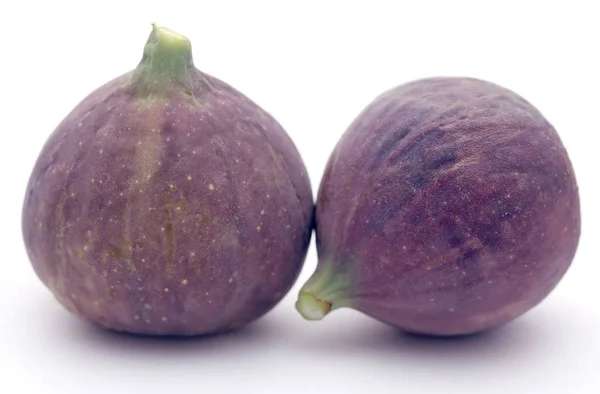Taze organik ortak incir — Stok fotoğraf