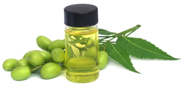 Extrato de neem medicinal — Fotografia de Stock