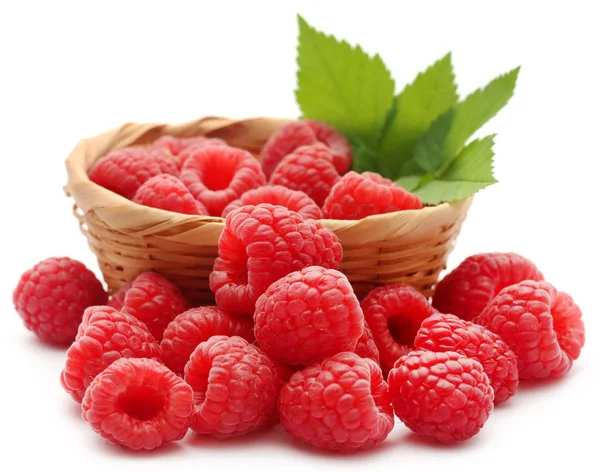 Taze ahududu closeup