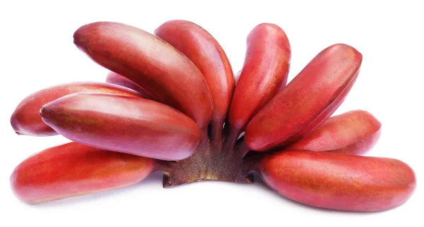 Gros plan de banane rouge — Photo