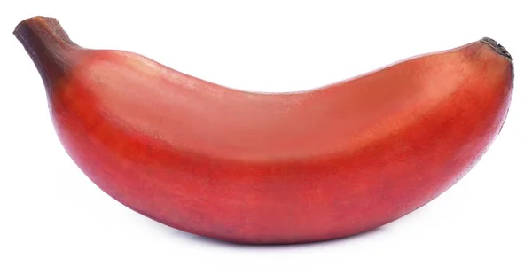 Primo piano di banana rossa — Foto Stock