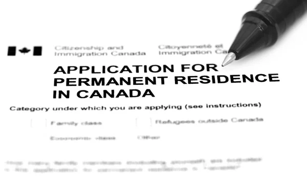 Visa application form