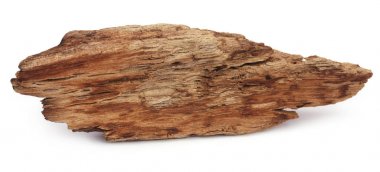 Natual driftwood yakın çekim