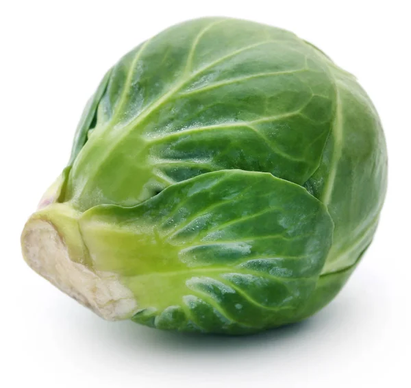 Rosenkohl or Brussels sprout — Stock Photo, Image