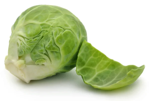 Rosenkohl oder Rosenkohl sprießen — Stockfoto