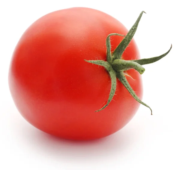 Gros plan de tomate fraîche — Photo
