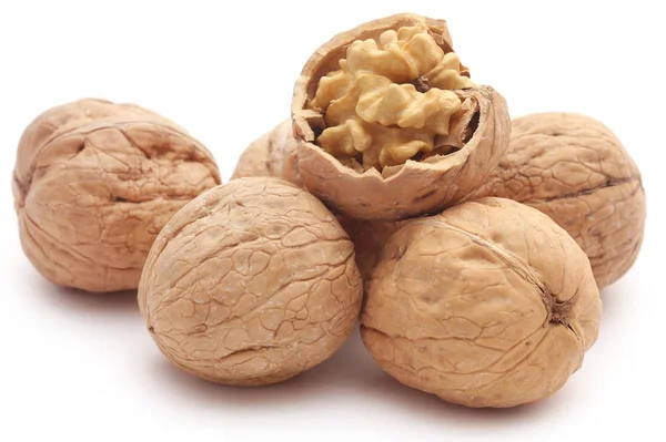 CERRADO DE WALNUT — Foto de Stock