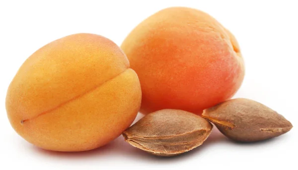 Abrikoos met zaden — Stockfoto