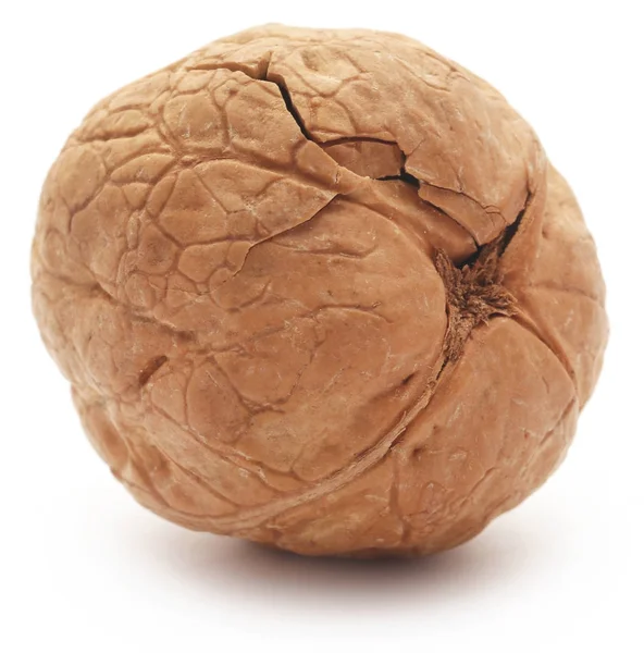 Closeup of Walnut — Stock Photo, Image