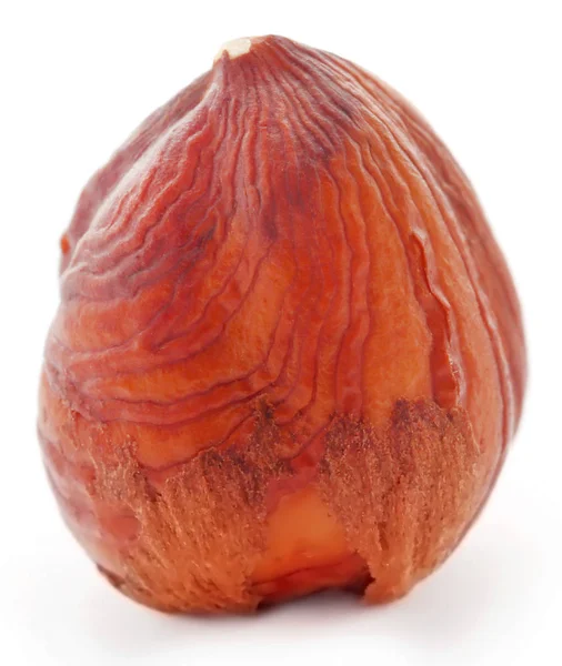 Closeup of Hazelnut — Stock Photo, Image