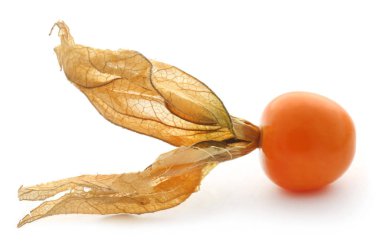 Taze yenilebilir physalis
