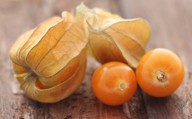 Taze yenilebilir physalis