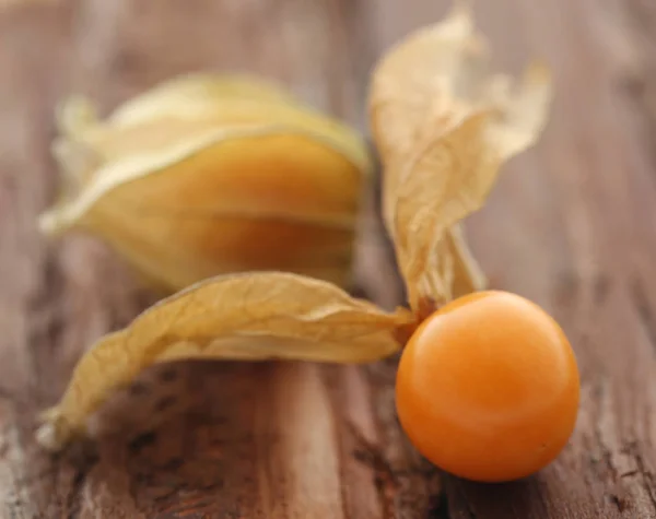 Frische essbare Physalis — Stockfoto