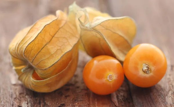 Fresh edible physalis — Stock Photo, Image