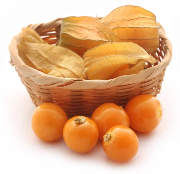 Taze yenilebilir physalis