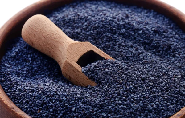 Poppy seeds — Stock Photo, Image