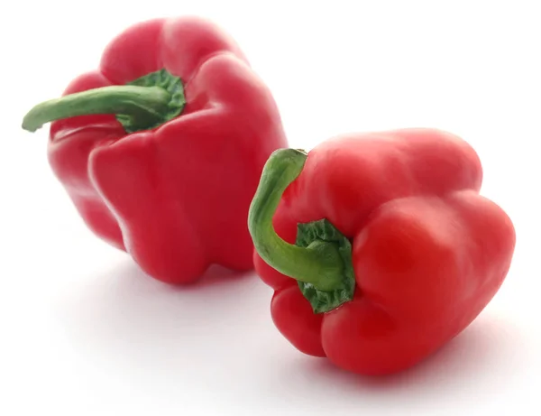 Zwei rote Paprika — Stockfoto