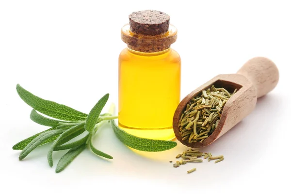 Fresh organic rosemary with essential oil — Stock Photo, Image