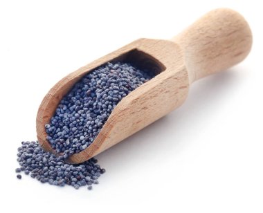 Closeup haşhaş tohumu