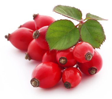 Rose hips closeup 
