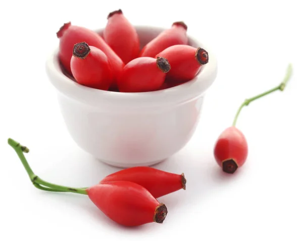 Rose hips closeup — Stok fotoğraf