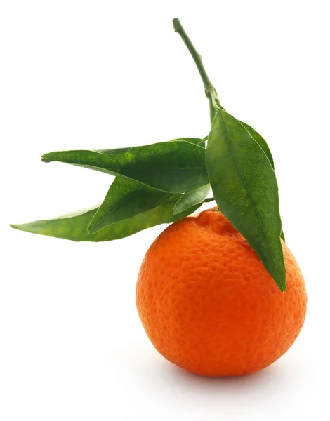 Closeup of Fresh orange — Stock Photo, Image