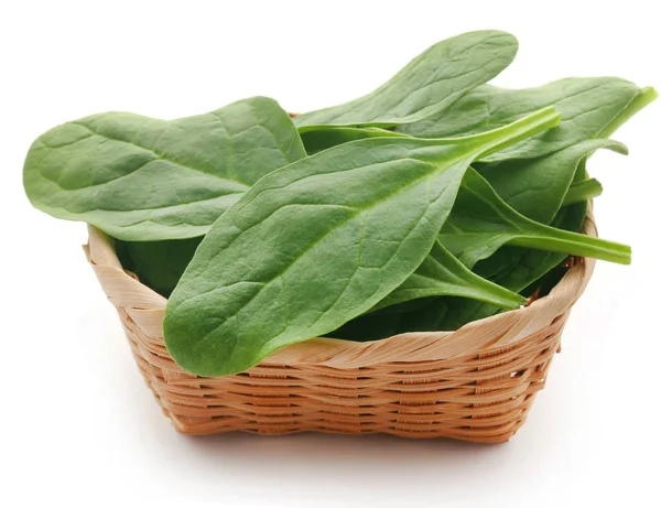 Primo piano di spinaci freschi — Foto Stock