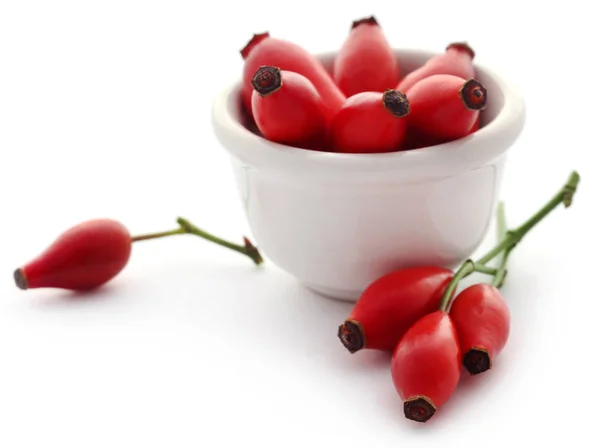 Rose hips closeup — Stok fotoğraf