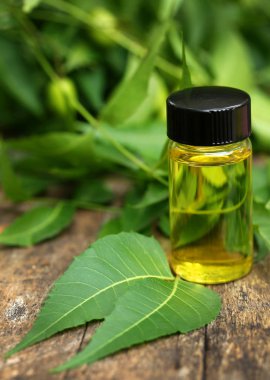Tıbbi neem yaprağı esans ile