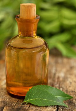 Tıbbi neem yaprağı esans ile