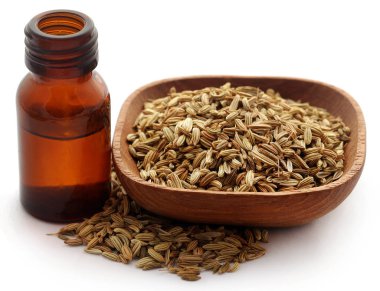 Rezene tohum önemli petrol bir şişe ile