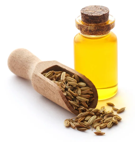 Fennel seeds with essential oil in a bottle — Stock Photo, Image