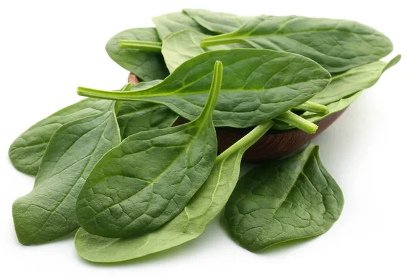 Closeup of Fresh Spinach — Stock Photo, Image