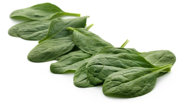 Closeup of Fresh Spinach — Stock Photo, Image