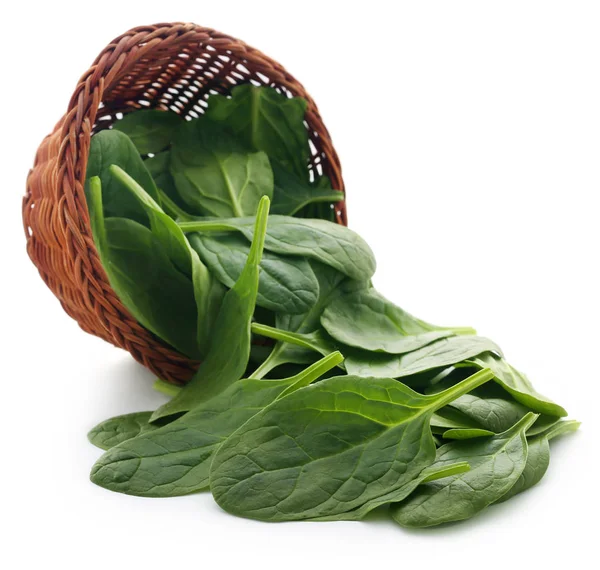 Nahaufnahme von frischem Spinat — Stockfoto