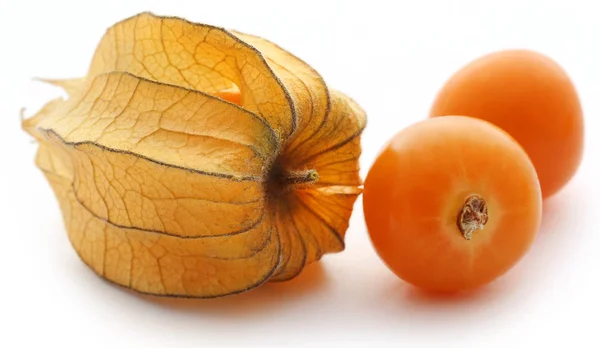 Fresh edible physalis — Stock Photo, Image