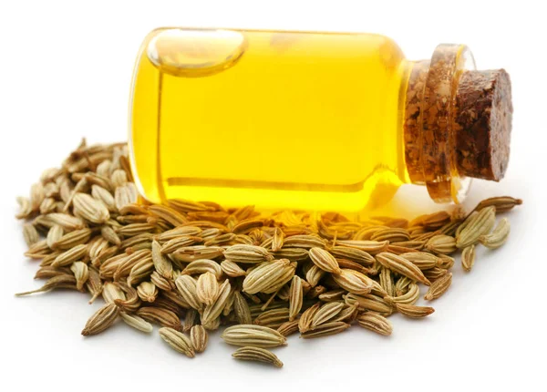 Fennel seeds with essential oil in a bottle — Stock Photo, Image