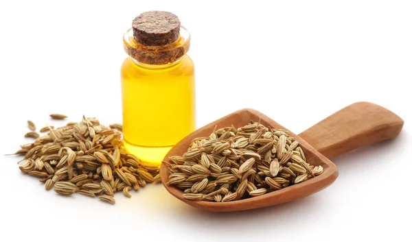 Fennel seeds with essential oil in a bottle — Stock Photo, Image