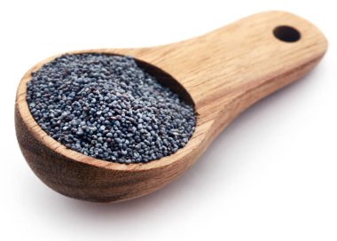 Closeup haşhaş tohumu