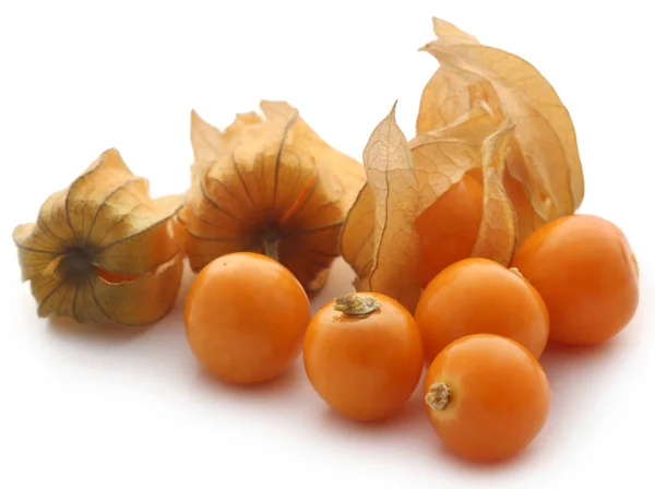 Physalis comestível fresco — Fotografia de Stock